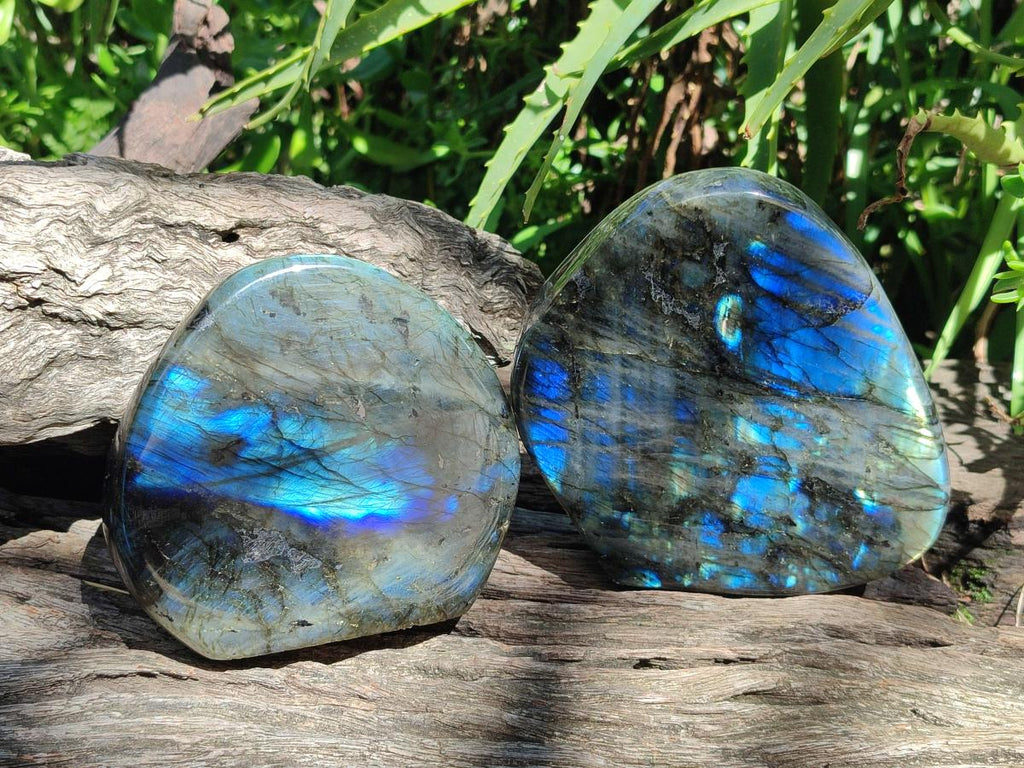 Polished Labradorite Standing Display Pieces x 2 From Madagascar - Toprock Gemstones and Minerals 