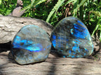 Polished Labradorite Standing Display Pieces x 2 From Madagascar - Toprock Gemstones and Minerals 