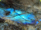 Polished Labradorite Standing Display Pieces x 2 From Madagascar - Toprock Gemstones and Minerals 