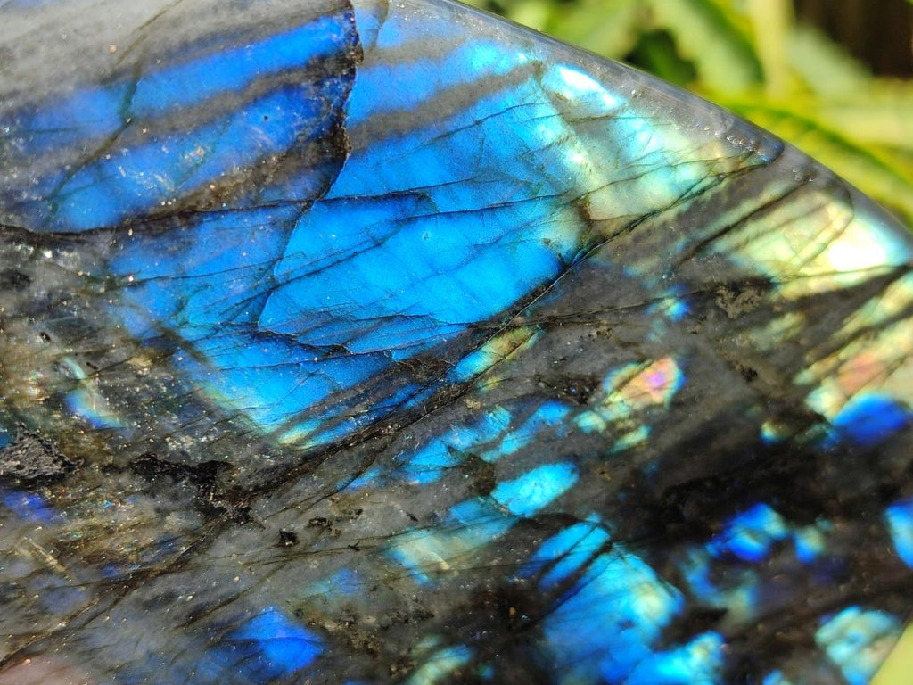 Polished Labradorite Standing Display Pieces x 2 From Madagascar - Toprock Gemstones and Minerals 
