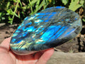 Polished Labradorite Standing Display Pieces x 2 From Madagascar - Toprock Gemstones and Minerals 