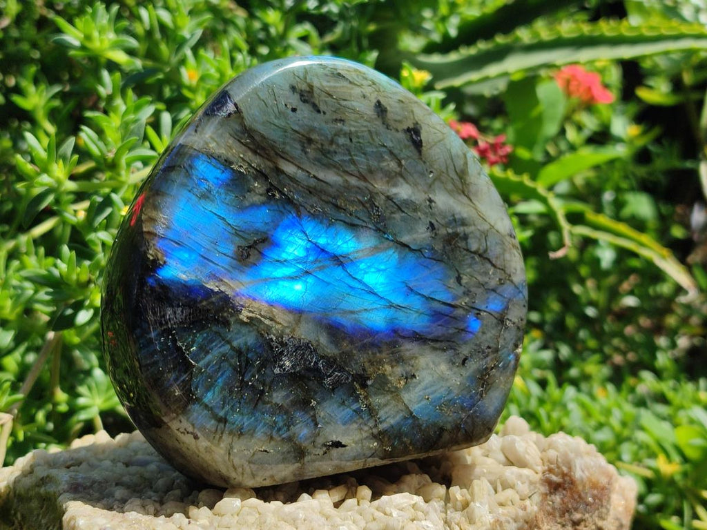 Polished Labradorite Standing Display Pieces x 2 From Madagascar - Toprock Gemstones and Minerals 