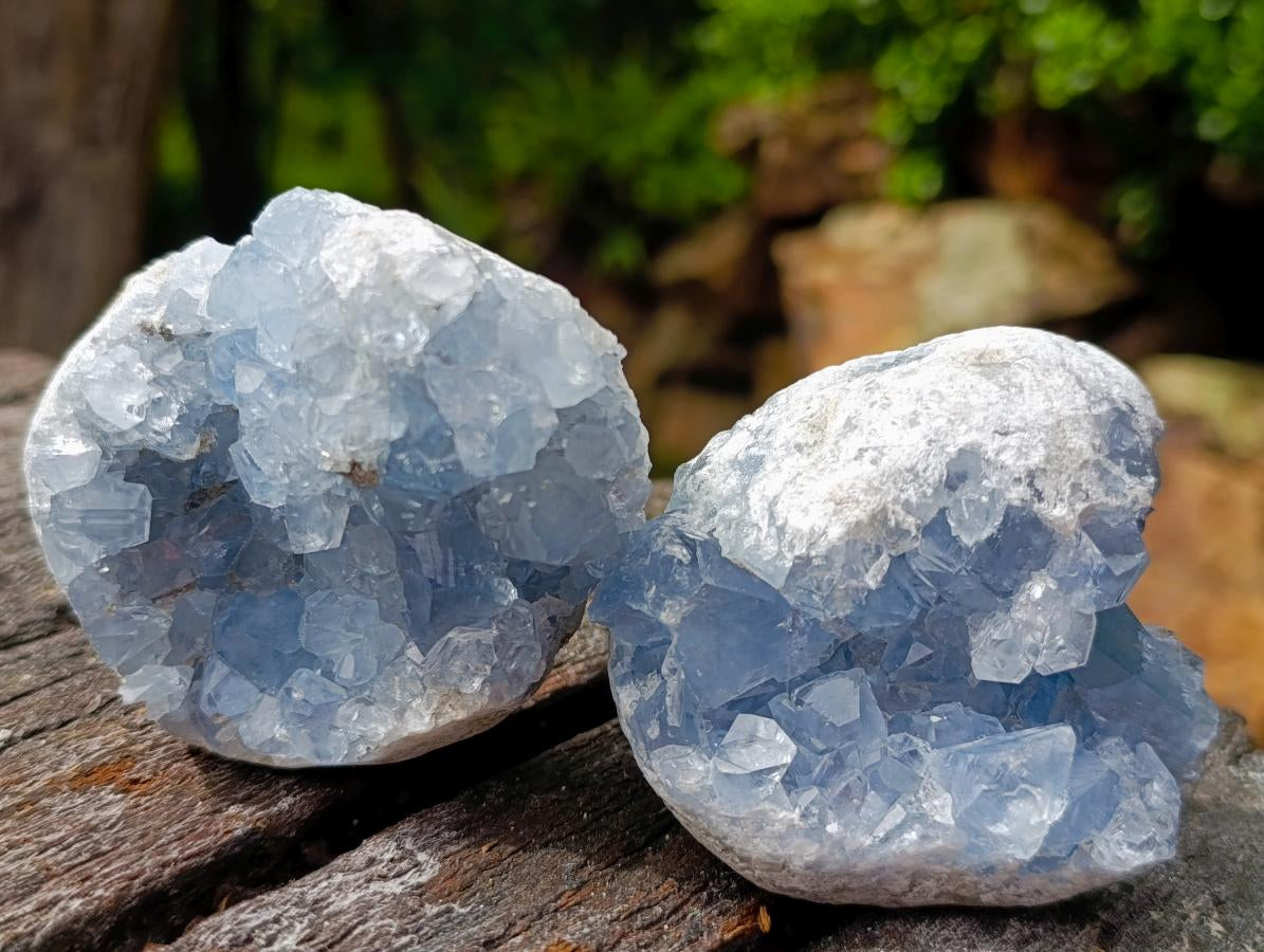 Natural Blue Celestite Specimens x 12 From Sakoany, Madagascar - Toprock Gemstones and Minerals 