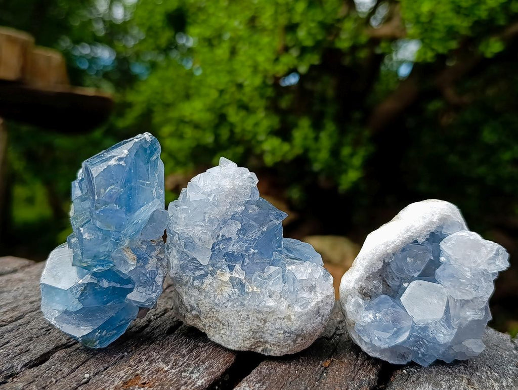 Natural Blue Celestite Specimens x 12 From Sakoany, Madagascar - Toprock Gemstones and Minerals 