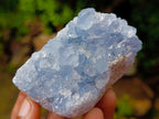 Natural Blue Celestite Specimens x 12 From Sakoany, Madagascar - Toprock Gemstones and Minerals 