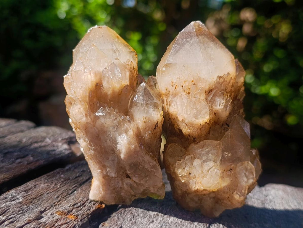 Natural Cascading White Phantom Smokey Luena Quartz Clusters x 12 From Luena, Congo - Toprock Gemstones and Minerals 
