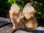 Natural Cascading White Phantom Smokey Luena Quartz Clusters x 12 From Luena, Congo - Toprock Gemstones and Minerals 