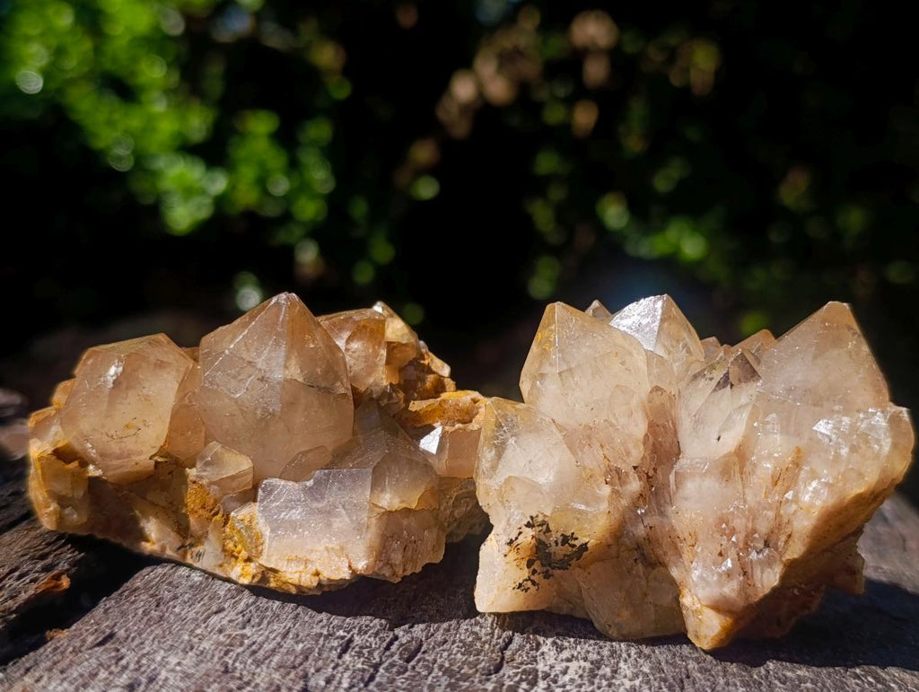 Natural Cascading White Phantom Smokey Luena Quartz Clusters x 12 From Luena, Congo - Toprock Gemstones and Minerals 