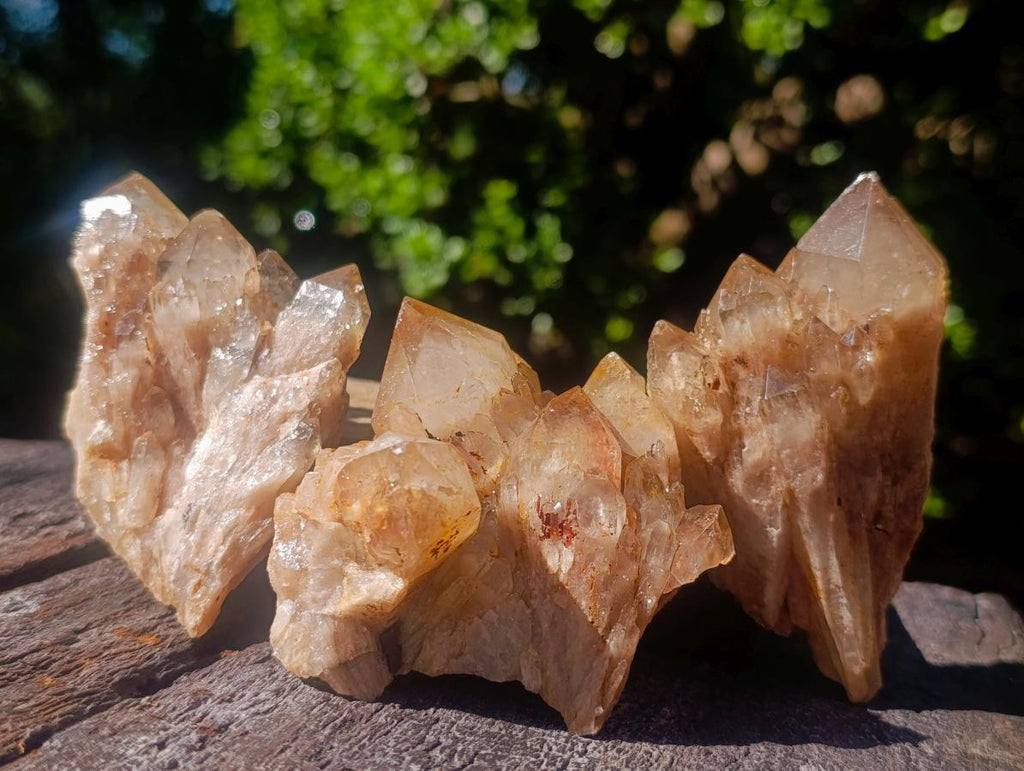 Natural Cascading White Phantom Smokey Luena Quartz Clusters x 12 From Luena, Congo - Toprock Gemstones and Minerals 