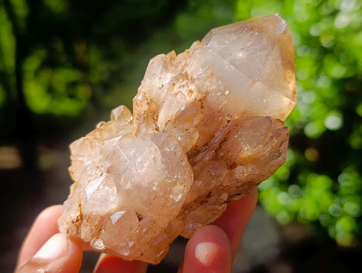 Natural Cascading White Phantom Smokey Luena Quartz Clusters x 12 From Luena, Congo - Toprock Gemstones and Minerals 