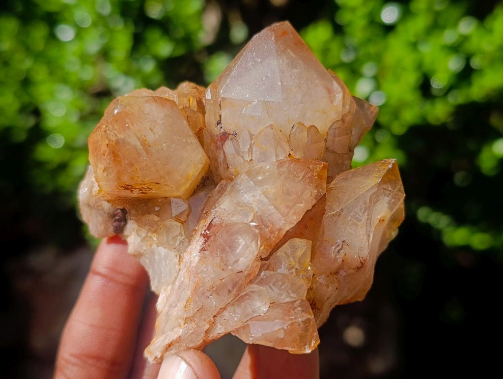 Natural Cascading White Phantom Smokey Luena Quartz Clusters x 12 From Luena, Congo - Toprock Gemstones and Minerals 