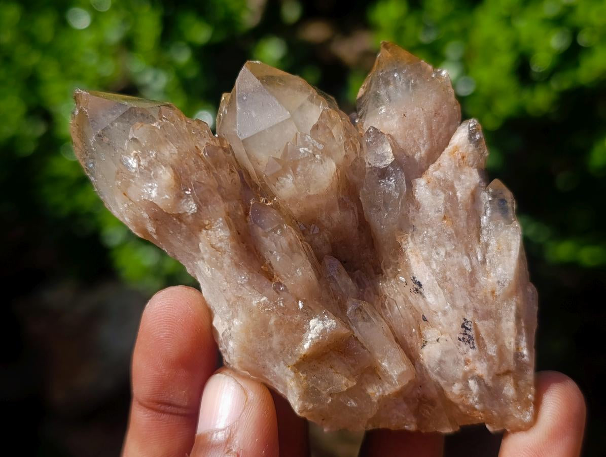 Natural Cascading White Phantom Smokey Luena Quartz Clusters x 12 From Luena, Congo - Toprock Gemstones and Minerals 