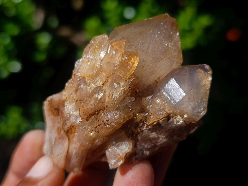 Natural Cascading White Phantom Smokey Luena Quartz Clusters x 12 From Luena, Congo - Toprock Gemstones and Minerals 