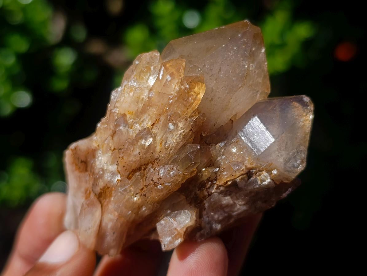 Natural Cascading White Phantom Smokey Luena Quartz Clusters x 12 From Luena, Congo - Toprock Gemstones and Minerals 