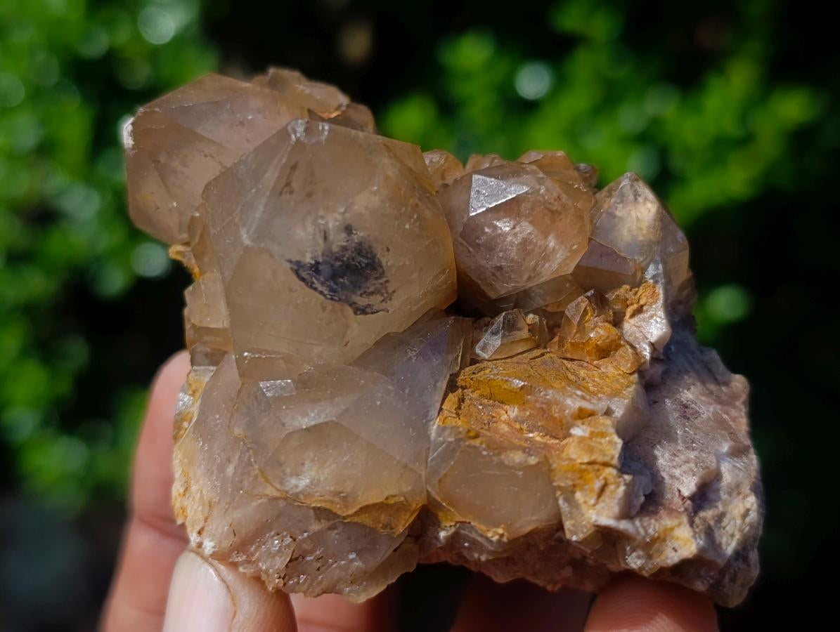 Natural Cascading White Phantom Smokey Luena Quartz Clusters x 12 From Luena, Congo - Toprock Gemstones and Minerals 