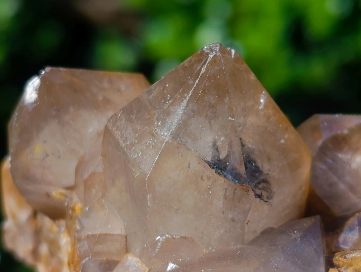 Natural Cascading White Phantom Smokey Luena Quartz Clusters x 12 From Luena, Congo - Toprock Gemstones and Minerals 
