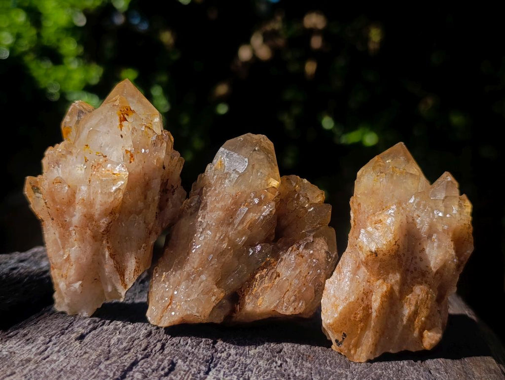 Natural Cascading White Phantom Smokey Luena Quartz Clusters x 12 From Luena, Congo - Toprock Gemstones and Minerals 