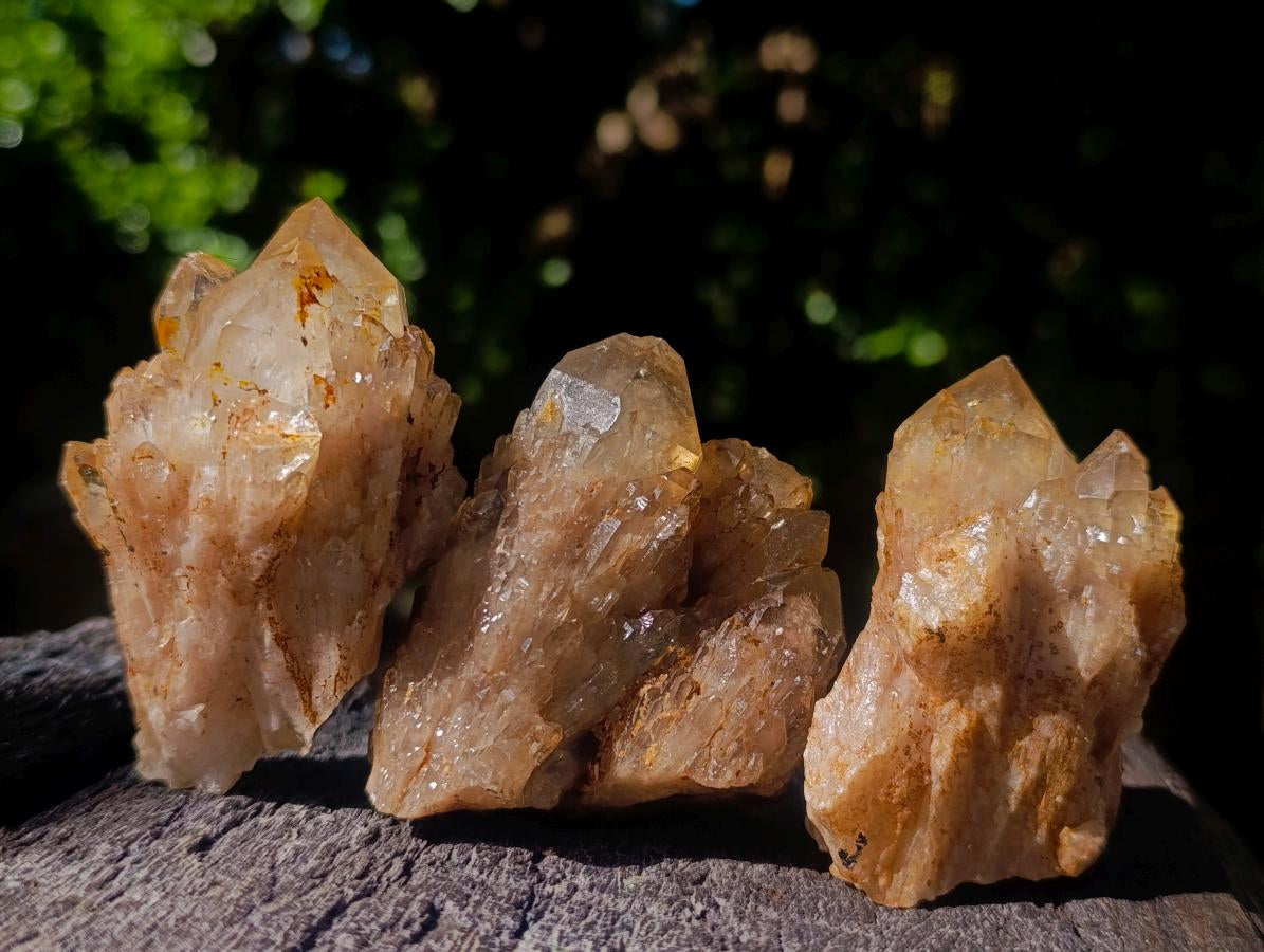 Natural Cascading White Phantom Smokey Luena Quartz Clusters x 12 From Luena, Congo - Toprock Gemstones and Minerals 