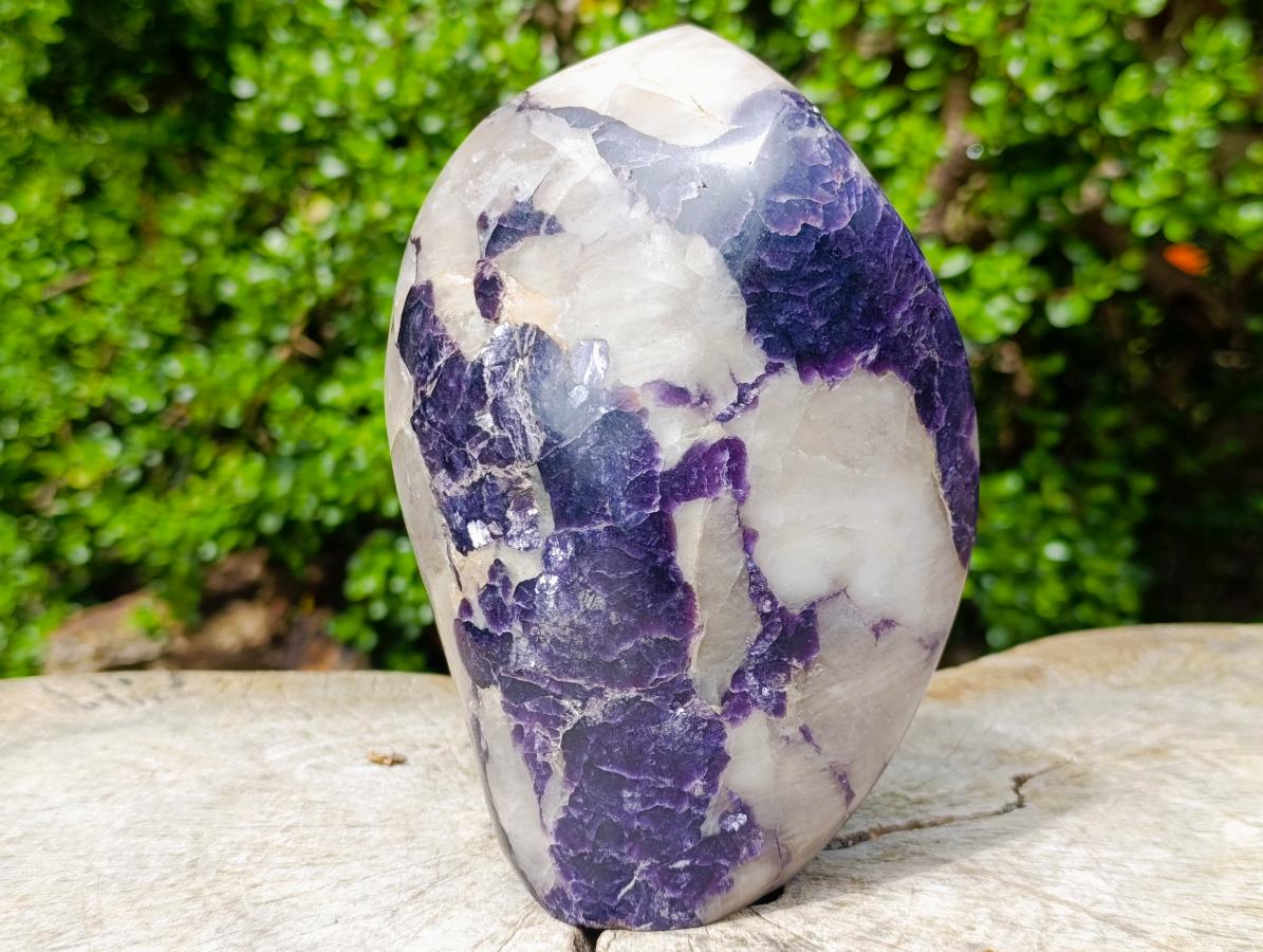 Polished Large Silver Leaf Lepidolite Standing Display Piece x 1 From Zimbabwe - Toprock Gemstones and Minerals 