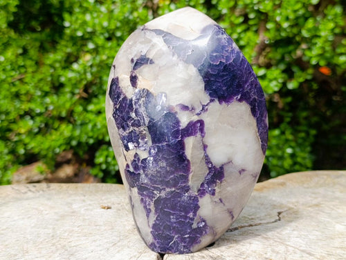 Polished Large Silver Leaf Lepidolite Standing Display Piece x 1 From Zimbabwe - Toprock Gemstones and Minerals 