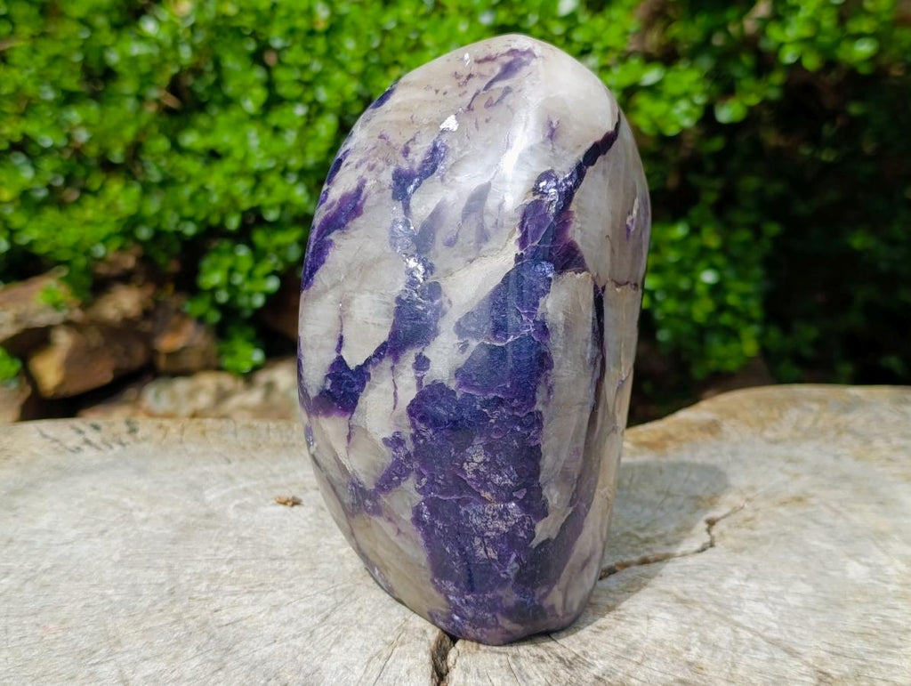 Polished Large Silver Leaf Lepidolite Standing Display Piece x 1 From Zimbabwe - Toprock Gemstones and Minerals 
