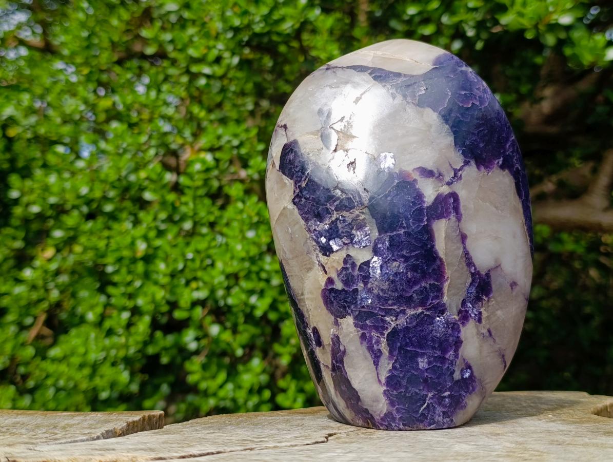 Polished Large Silver Leaf Lepidolite Standing Display Piece x 1 From Zimbabwe - Toprock Gemstones and Minerals 