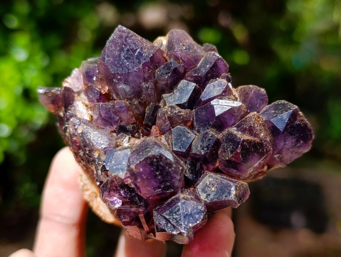 Natural Dark Amethyst Clusters x 6 From Mapatizya, Zambia - Toprock Gemstones and Minerals 