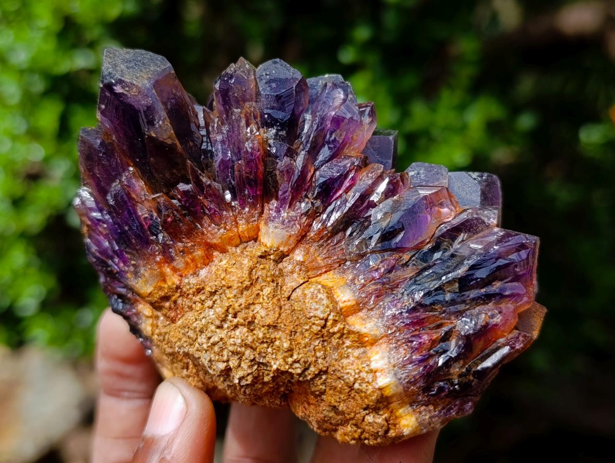 Natural Dark Amethyst Clusters x 6 From Mapatizya, Zambia - Toprock Gemstones and Minerals 