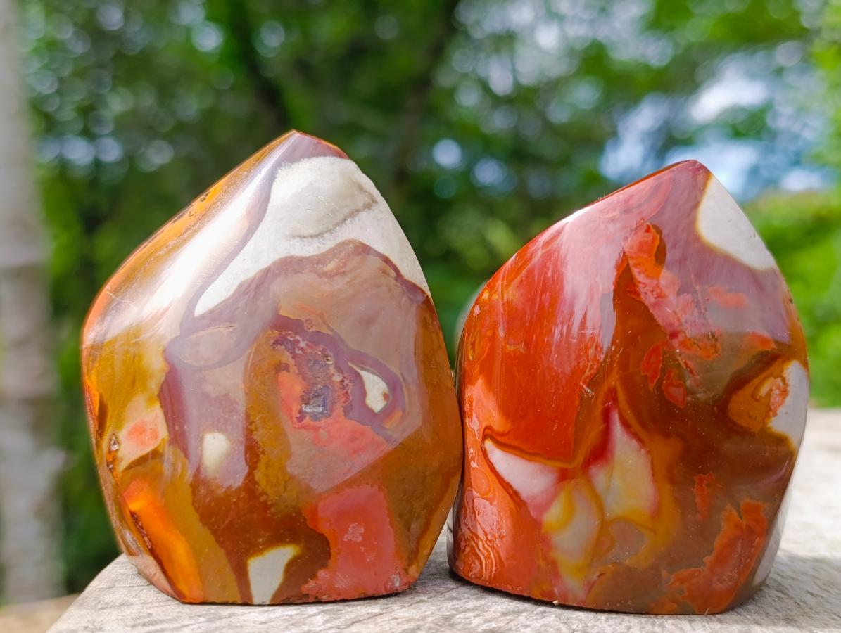 Polished Polychrome Jasper Flames x 6 From Androka, Madagascar - Toprock Gemstones and Minerals 