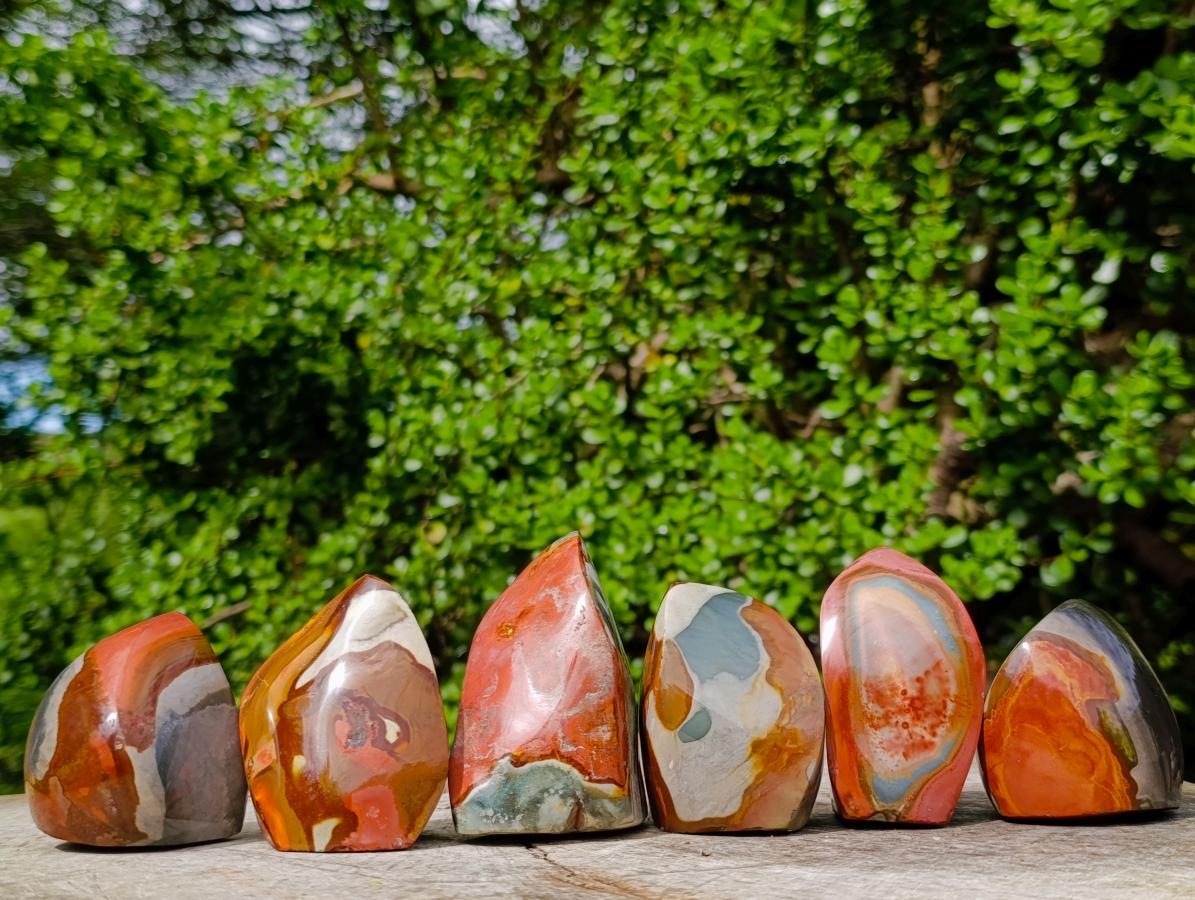 Polished Polychrome Jasper Flames x 6 From Androka, Madagascar - Toprock Gemstones and Minerals 