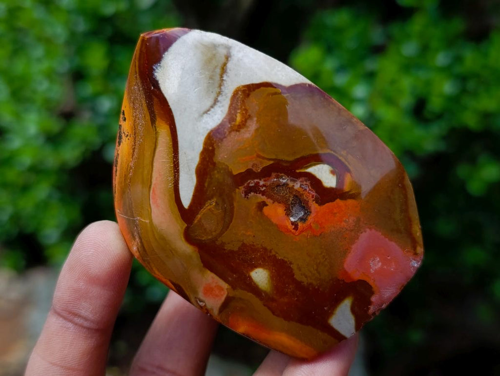 Polished Polychrome Jasper Flames x 6 From Androka, Madagascar - Toprock Gemstones and Minerals 