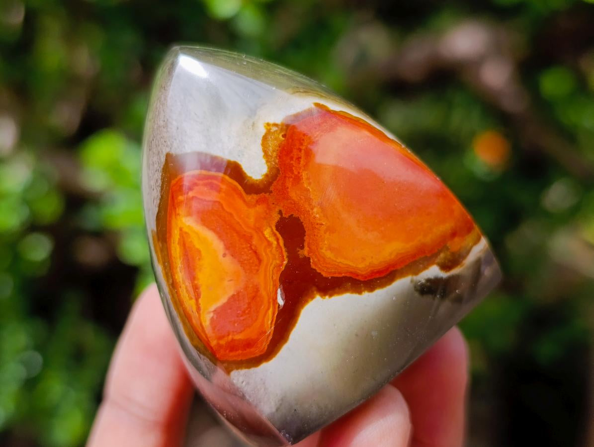 Polished Polychrome Jasper Flames x 6 From Androka, Madagascar - Toprock Gemstones and Minerals 