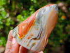 Polished Polychrome Jasper Flames x 6 From Androka, Madagascar - Toprock Gemstones and Minerals 