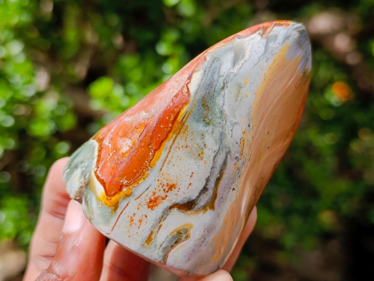 Polished Polychrome Jasper Flames x 6 From Androka, Madagascar - Toprock Gemstones and Minerals 