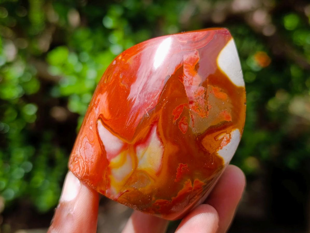 Polished Polychrome Jasper Flames x 6 From Androka, Madagascar - Toprock Gemstones and Minerals 
