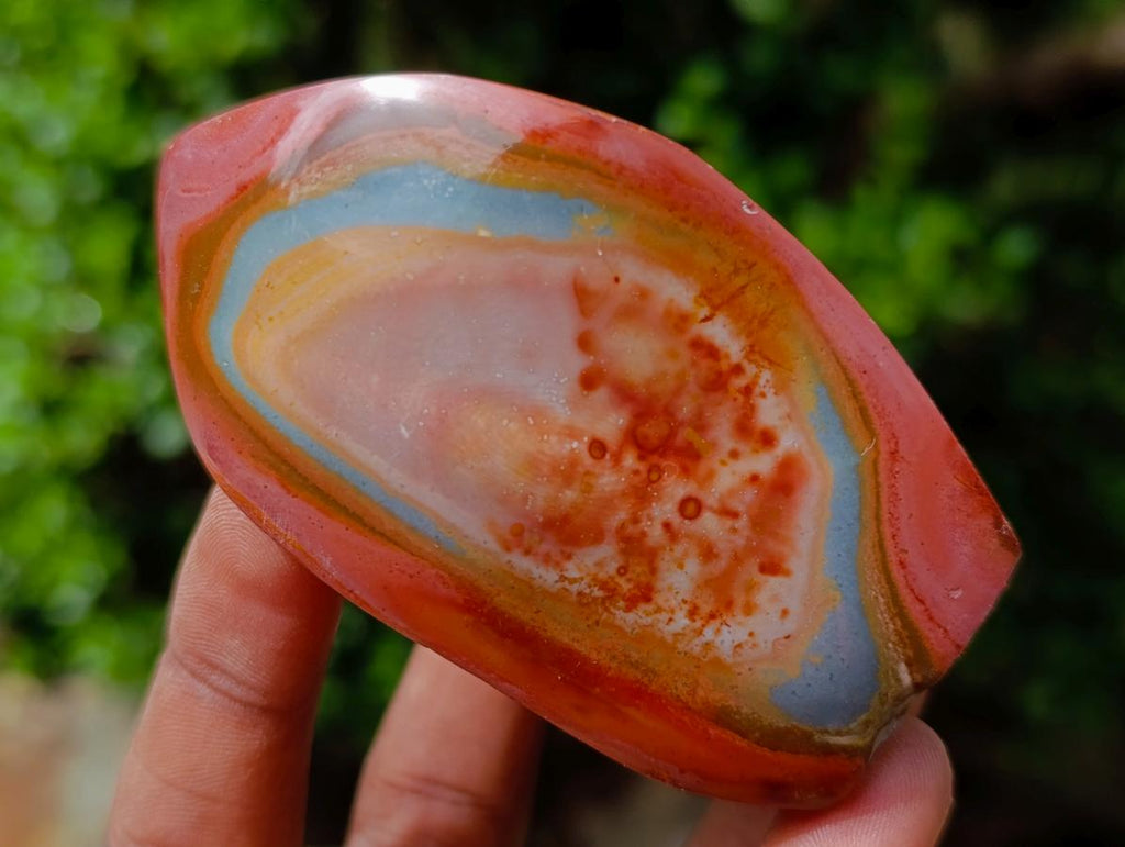 Polished Polychrome Jasper Flames x 6 From Androka, Madagascar - Toprock Gemstones and Minerals 