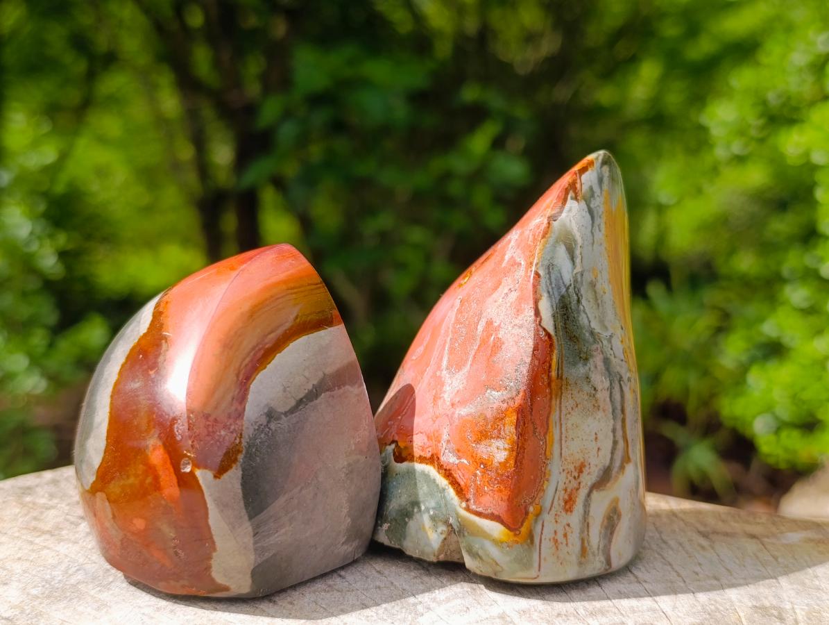 Polished Polychrome Jasper Flames x 6 From Androka, Madagascar - Toprock Gemstones and Minerals 