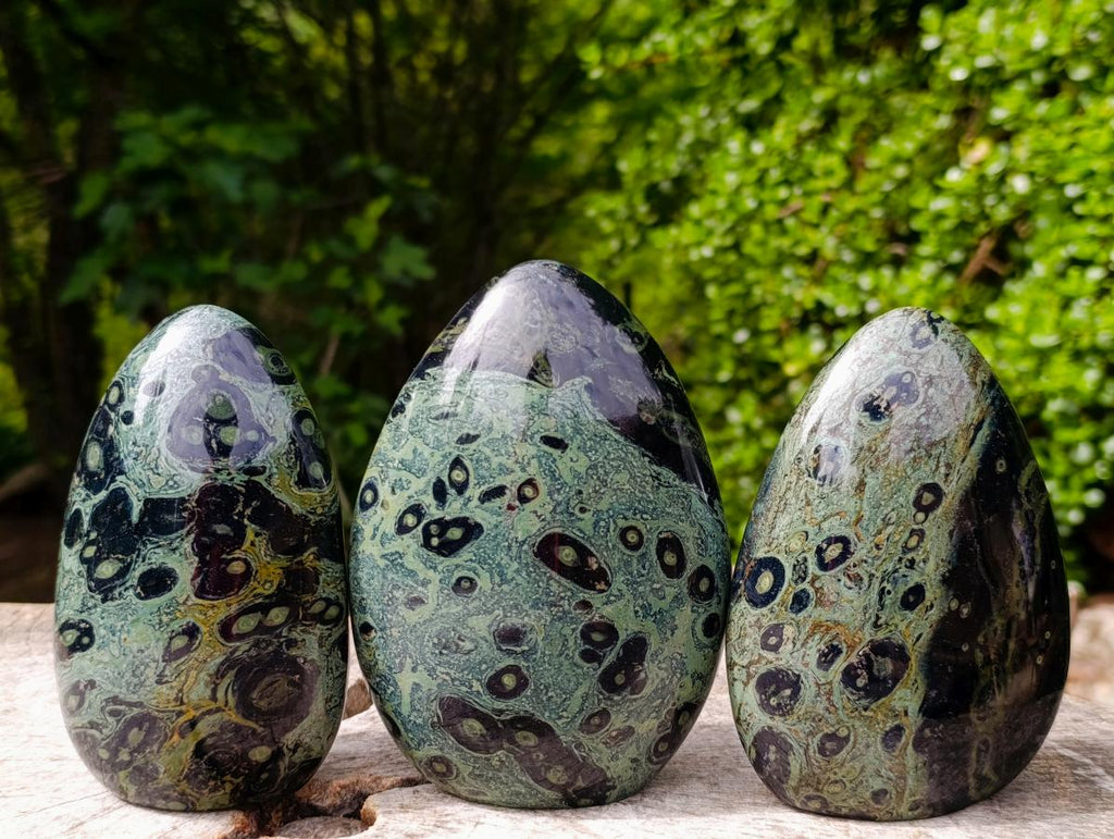 Polished Stromatolite Standing Display Pieces x 3 From Katsepy, Madagascar - Toprock Gemstones and Minerals 