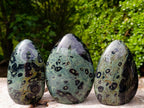 Polished Stromatolite Standing Display Pieces x 3 From Katsepy, Madagascar - Toprock Gemstones and Minerals 