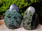 Polished Stromatolite Standing Display Pieces x 3 From Katsepy, Madagascar - Toprock Gemstones and Minerals 