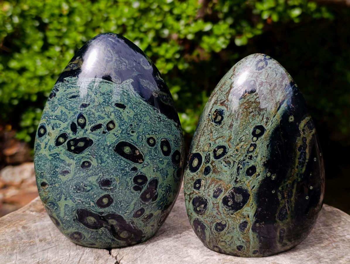 Polished Stromatolite Standing Display Pieces x 3 From Katsepy, Madagascar - Toprock Gemstones and Minerals 
