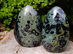 Polished Stromatolite Standing Display Pieces x 3 From Katsepy, Madagascar - Toprock Gemstones and Minerals 