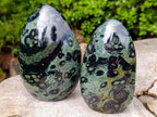 Polished Stromatolite Standing Display Pieces x 3 From Katsepy, Madagascar - Toprock Gemstones and Minerals 