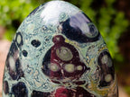Polished Stromatolite Standing Display Pieces x 3 From Katsepy, Madagascar - Toprock Gemstones and Minerals 