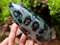 Polished Stromatolite Standing Display Pieces x 3 From Katsepy, Madagascar - Toprock Gemstones and Minerals 