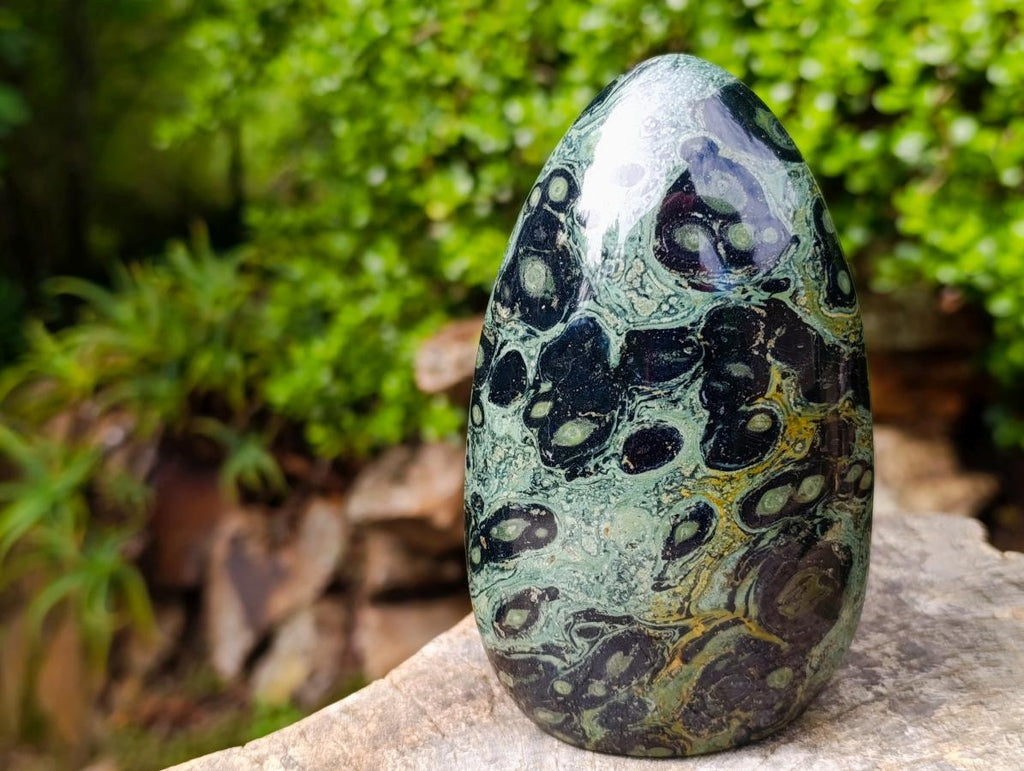 Polished Stromatolite Standing Display Pieces x 3 From Katsepy, Madagascar - Toprock Gemstones and Minerals 