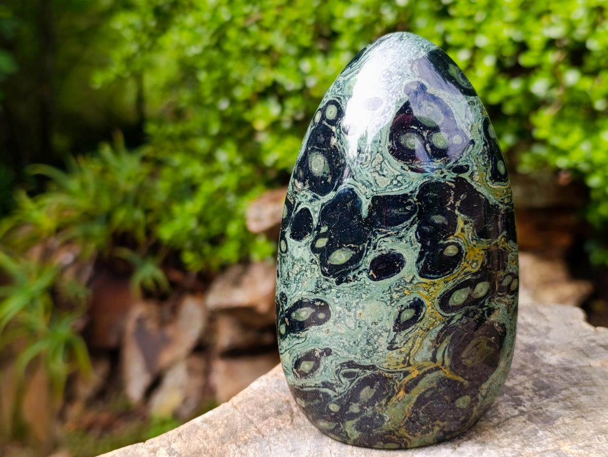 Polished Stromatolite Standing Display Pieces x 3 From Katsepy, Madagascar - Toprock Gemstones and Minerals 