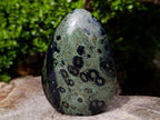 Polished Stromatolite Standing Display Pieces x 3 From Katsepy, Madagascar - Toprock Gemstones and Minerals 