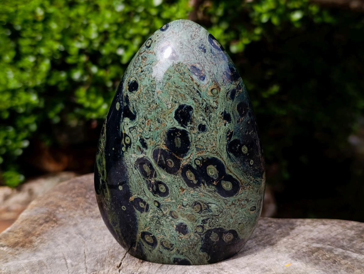 Polished Stromatolite Standing Display Pieces x 3 From Katsepy, Madagascar - Toprock Gemstones and Minerals 