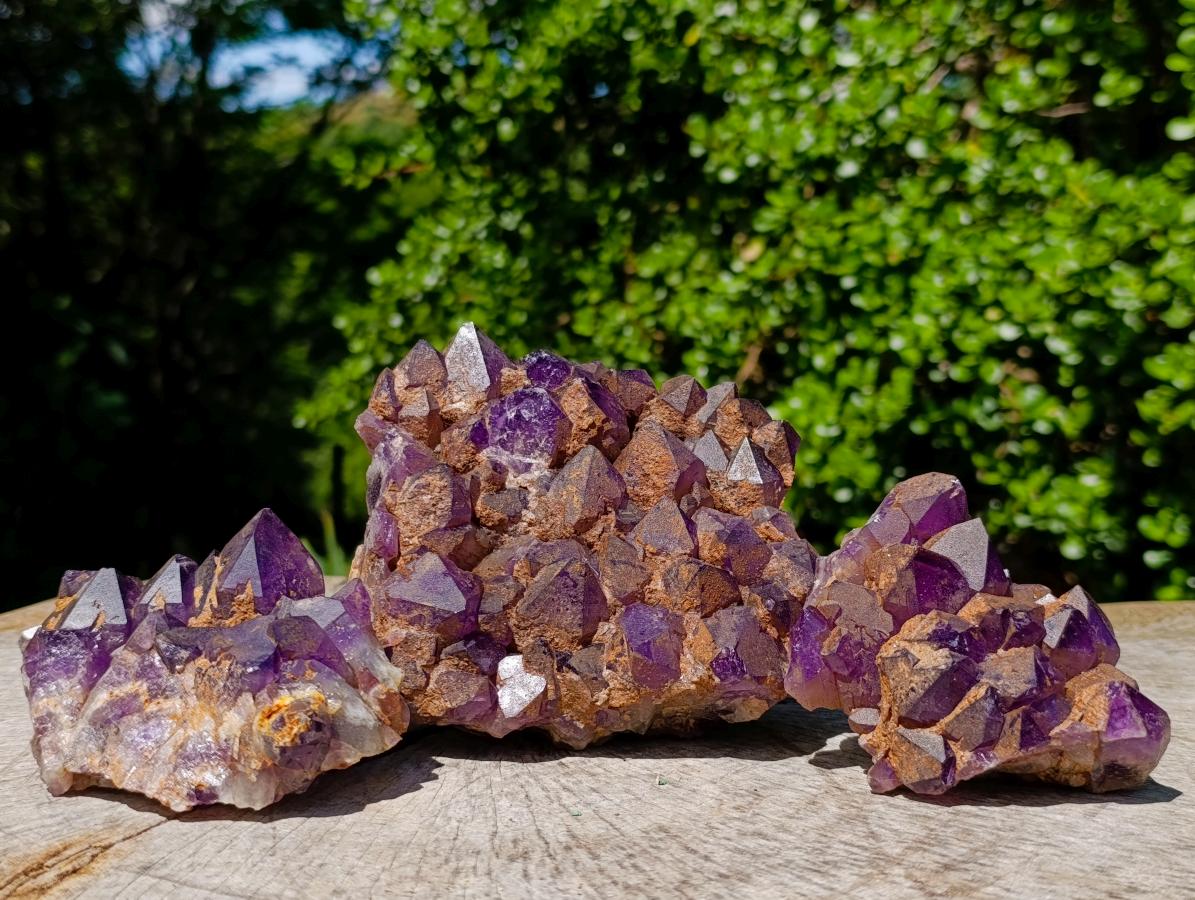 Natural Dark Amethyst Clusters x 5 From Mapatizya, Zambia - Toprock Gemstones and Minerals 